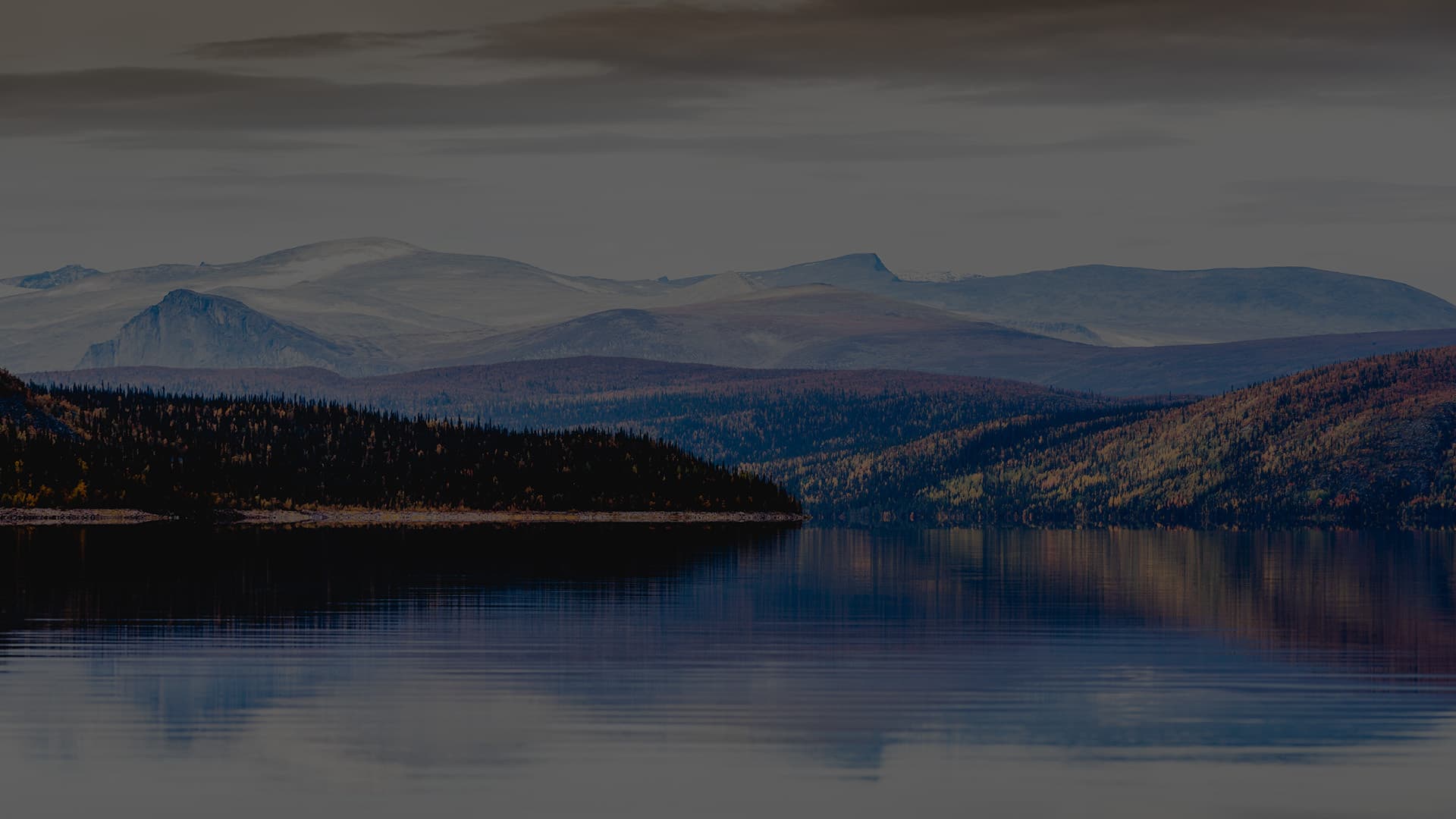 Take your B2B business online OG Image