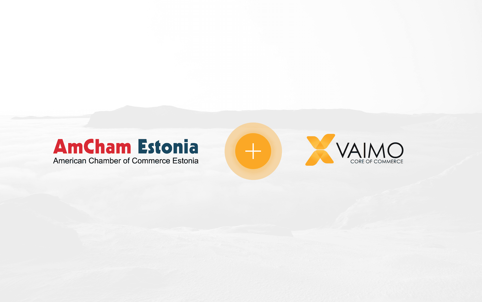Vaimo American Chamber of Commerce - Featured Image