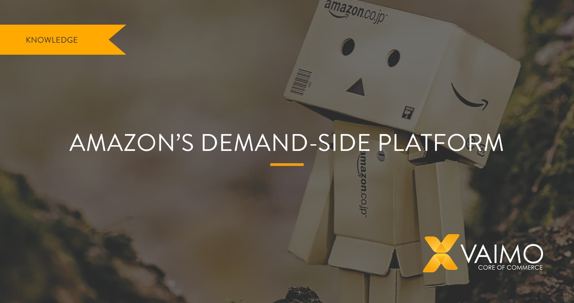Amazon Demand Side Platform - Featured Image