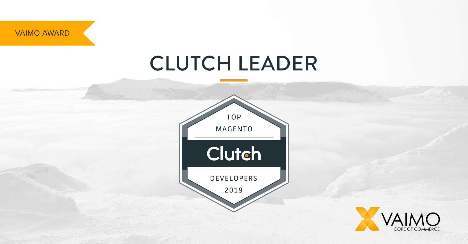 Vaimo Clutch Leader Award - Featured Image