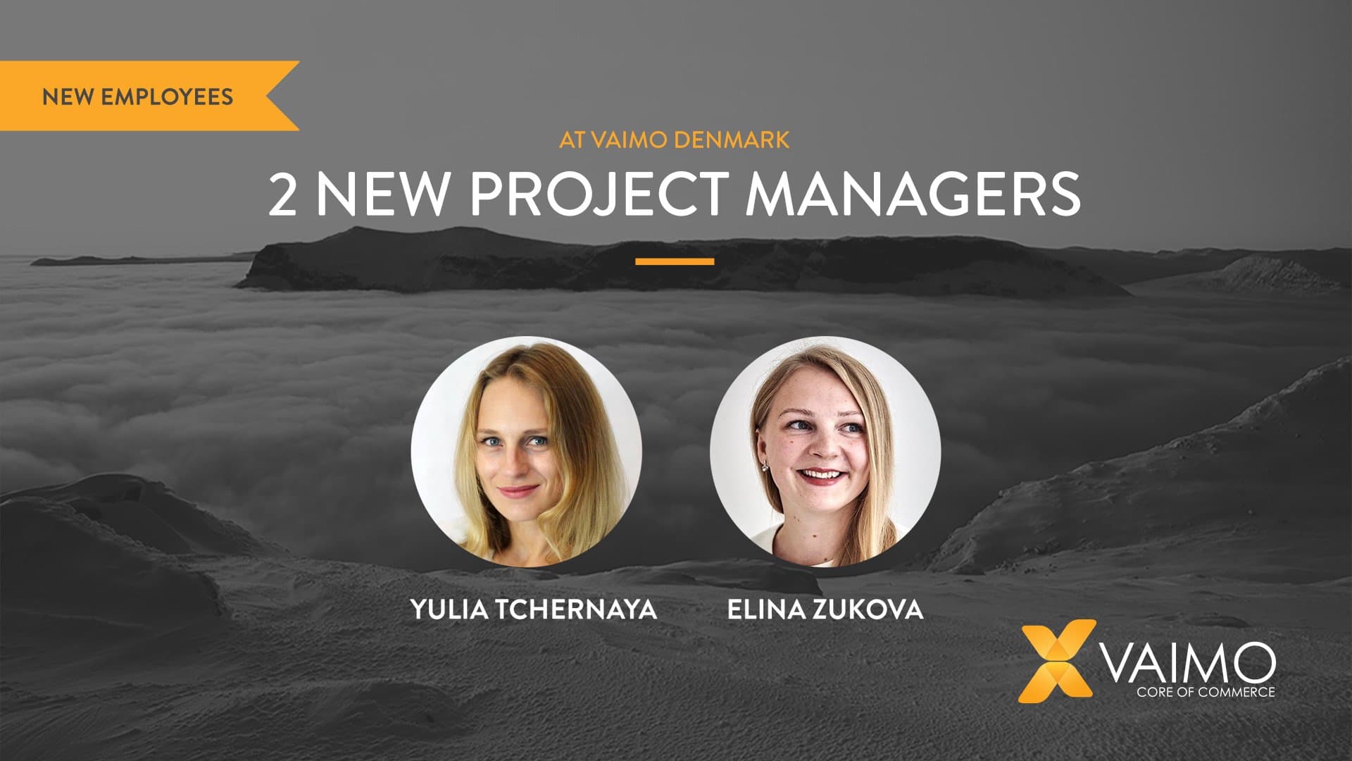 Introducing New Project Managers at Vaimo Denmark - Featured Image
