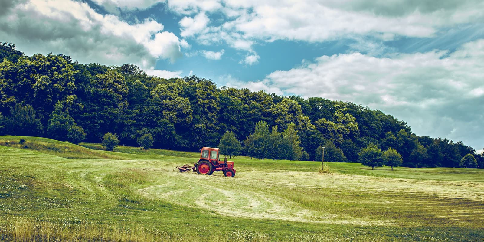 lantmannen featured image