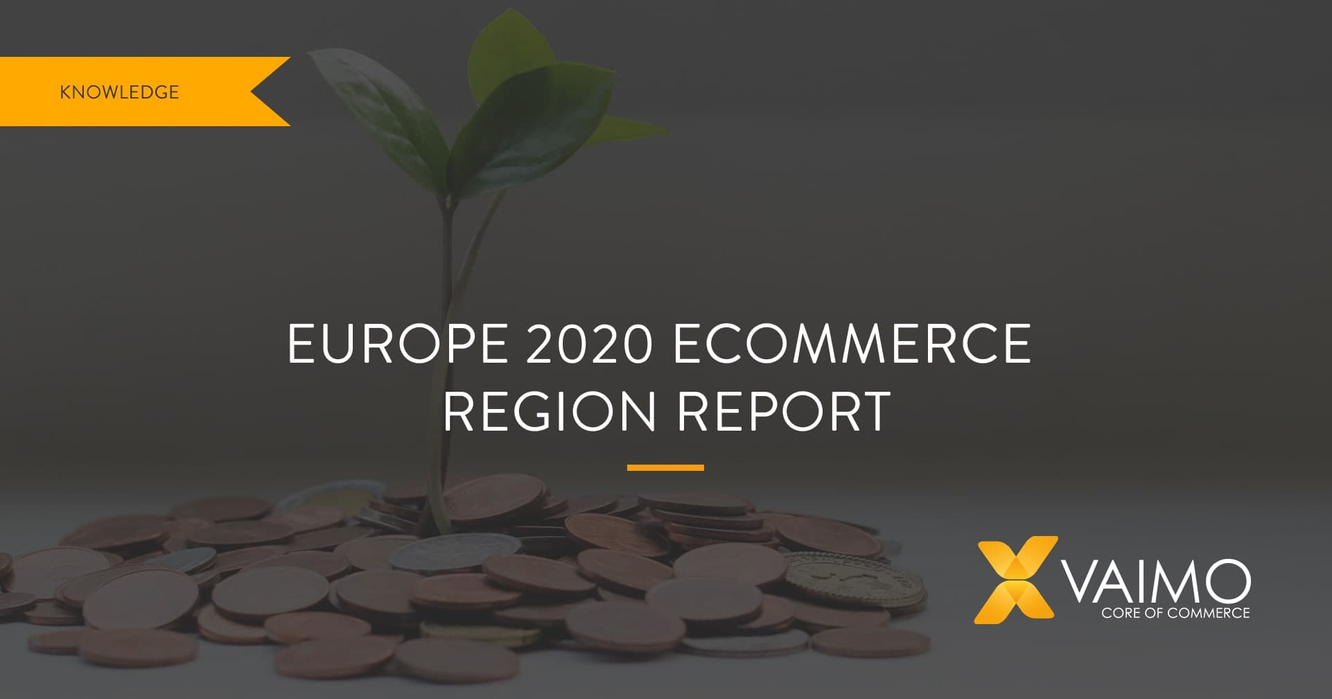 Europe 2020 Ecommerce Region Report 1 - Featured Image
