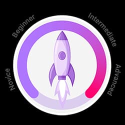 CRO check your maturity level diagram