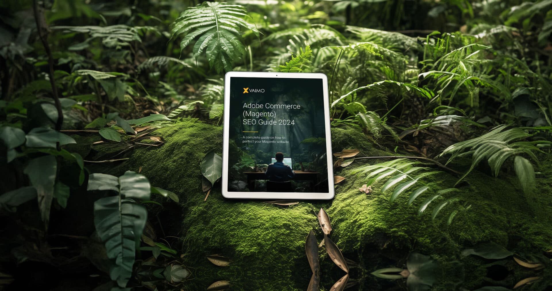 How To Navigate Adobe SEO Your Ultimate Guide - Featured Image