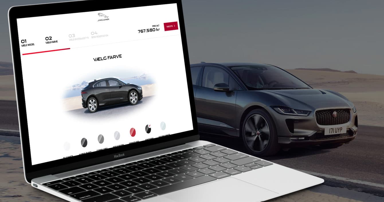 Jaguar on the laptop